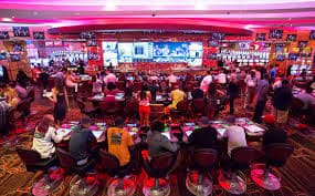 Pengingat tanggung jawab Bingo Gol